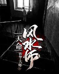 天命风水师一飞冲天TXT下载